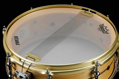 Tama Star Reserve Solid Maple 14" x 5" Snare Drum - bottom view